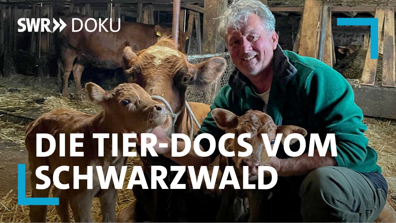 Traumjob trotz langer Arbeitszeiten - Die Tier-Docs vom Schwarzwald | SWR Doku