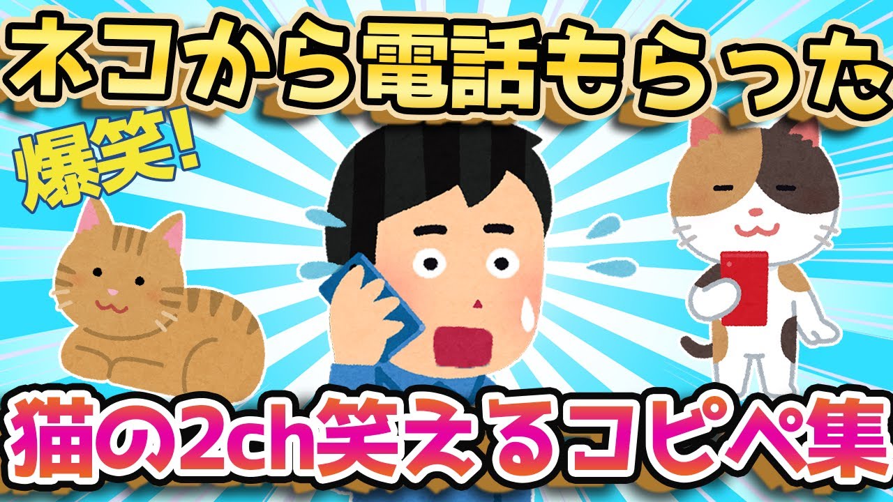【2ch面白いスレ】可愛くて面白すぎる。猫の爆笑コピペ51選【ゆっくり解説】