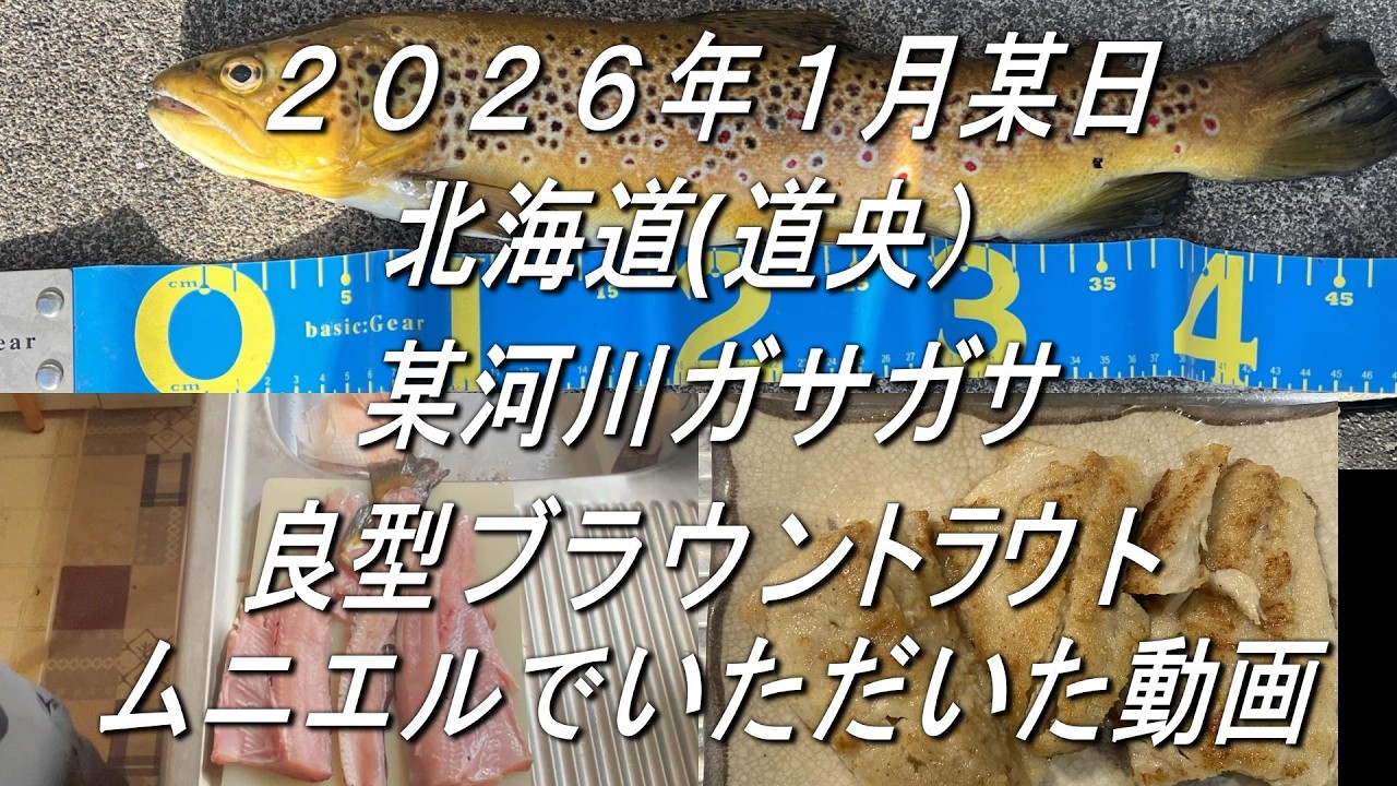 良型ブラウントラウト 道央ガザガサ 2026.1