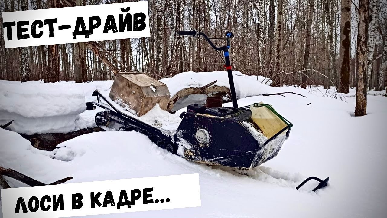 Самодельный снегоход#Тест драйв по лесу#Лоси в кадре.