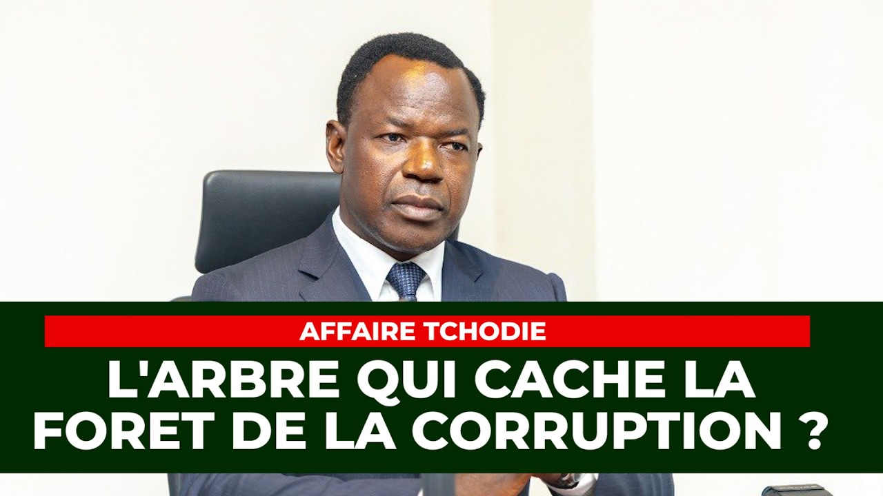 Affaire Tchodie : l'arbre qui cache la forêt de la corruption? ECHO DU TOGO -