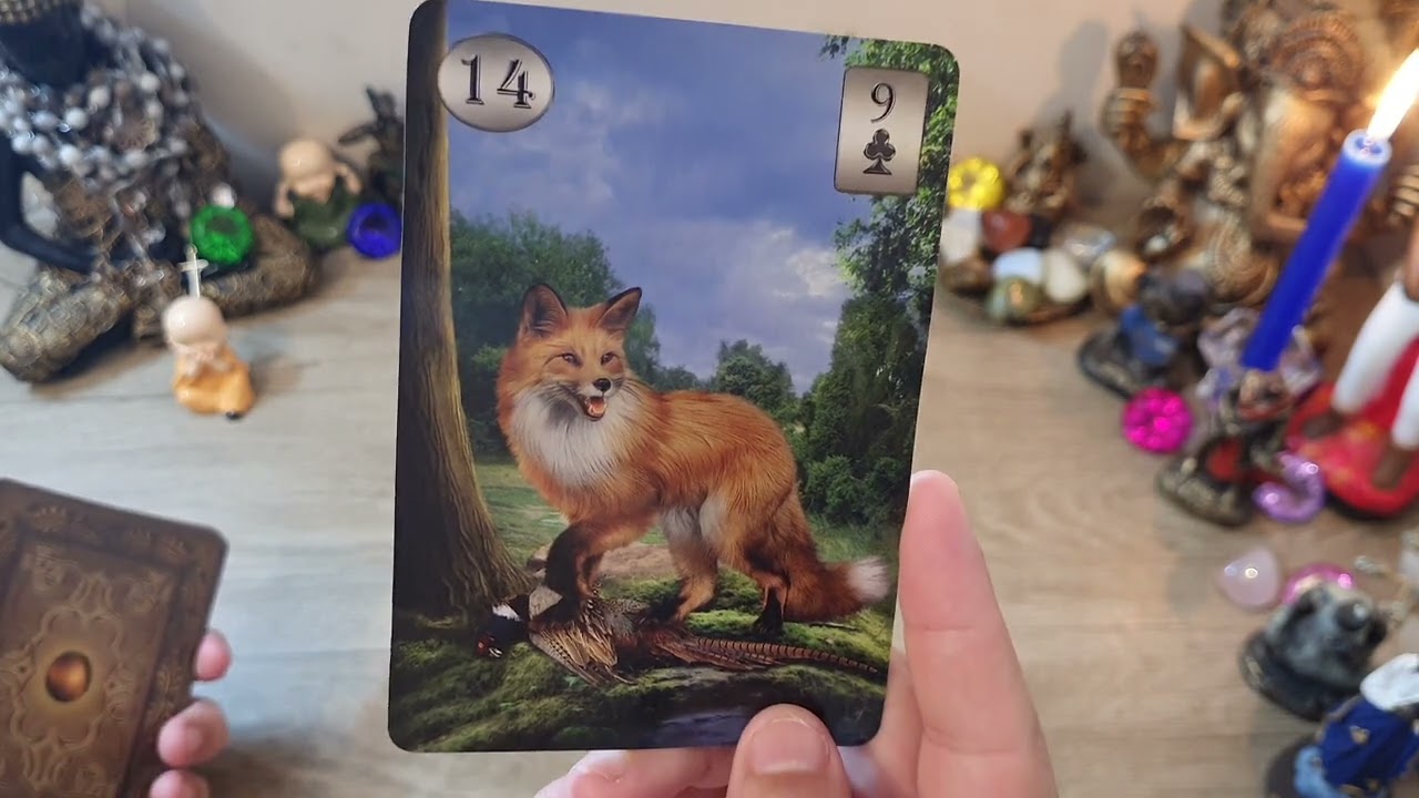Noite da pessoa amada !! Ele vai me procurar? Como ele está vendo a nossa situação? #tarot