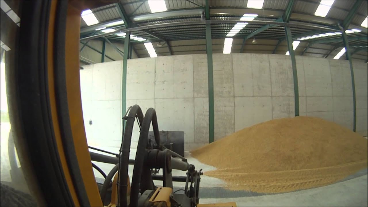 Volvo L50: Amontonando cereal en naves [GoPro HERO HD]