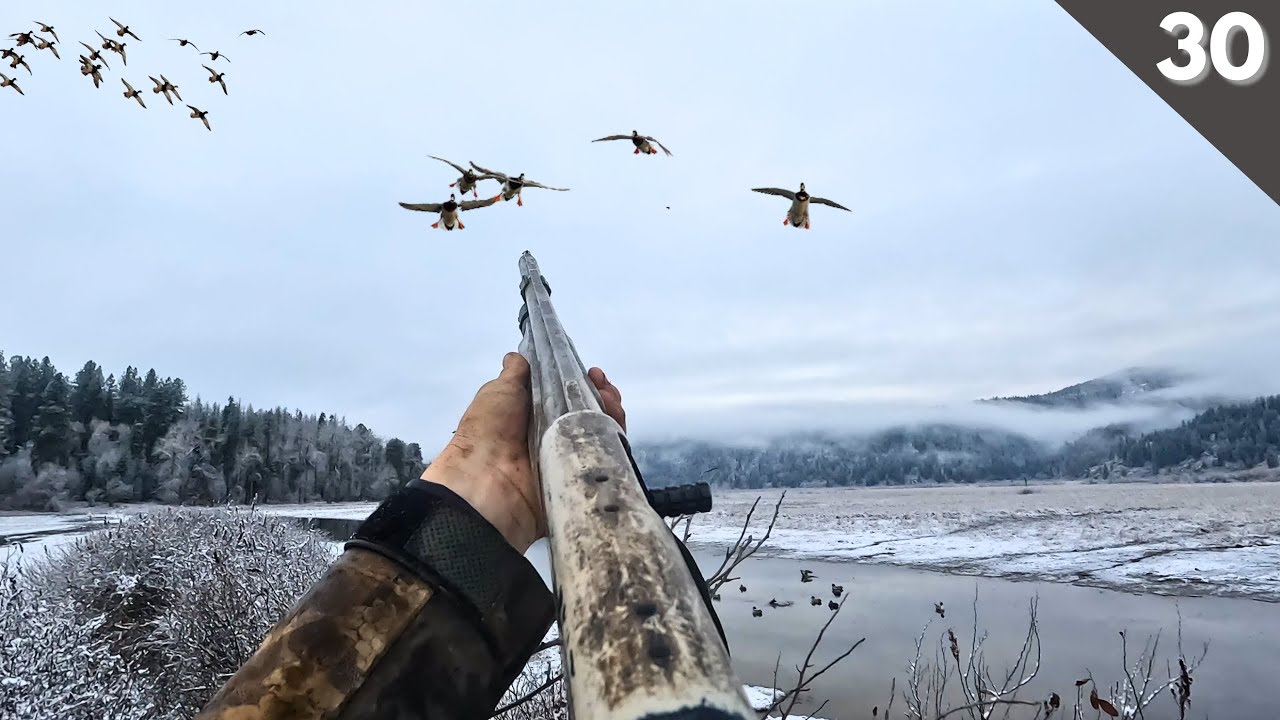 TINY Warm Water CREEK Duck Hunting | Best Decoying MALLARDS Of The Season
