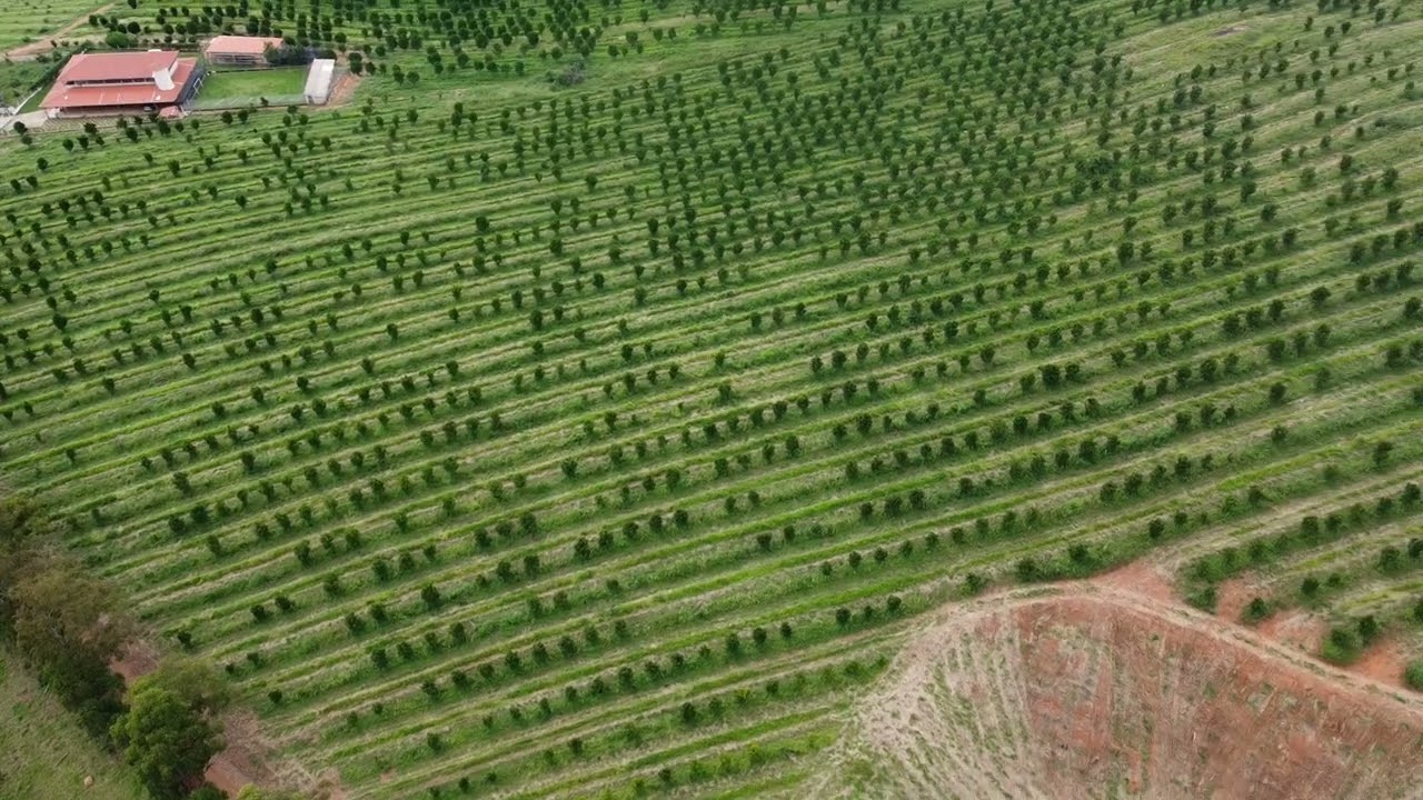 Vista Curral, lagoa back, mais Virasol2/4/26Part2