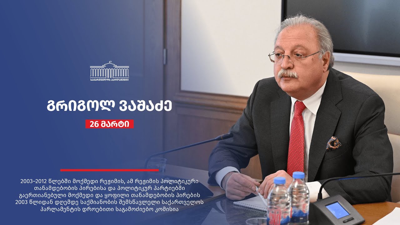 გრიგოლ ვაშაძე - საქართველოს პარლამენტის დროებითი საგამოძიებო კომისიის სხდომა N5 - 26.03.2025