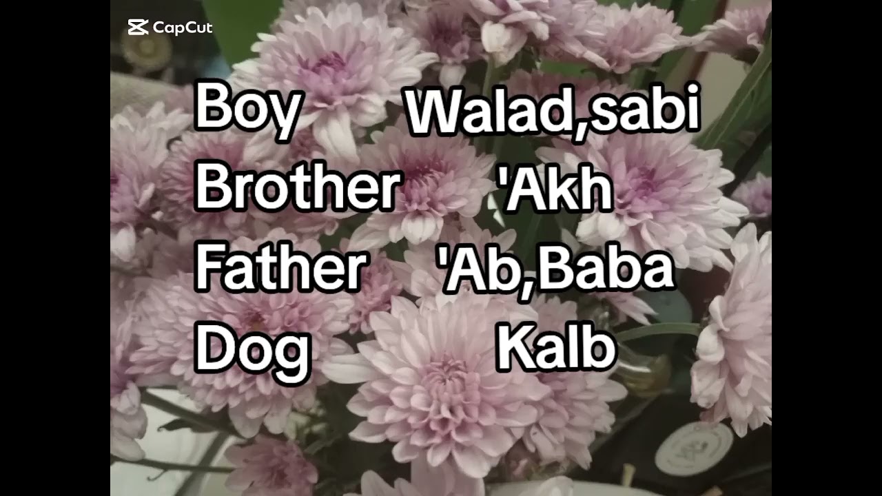 Mga pangunahing simplest sa salitang Arabic na  panglalaki
