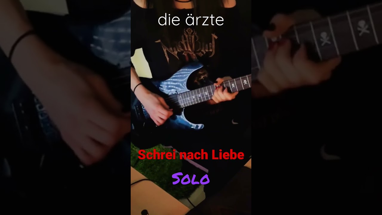 Die Ärzte - Schrei nach Liebe Solo | Guitar Cover 