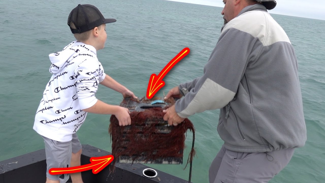 That's Not What They Expected to TRAP!