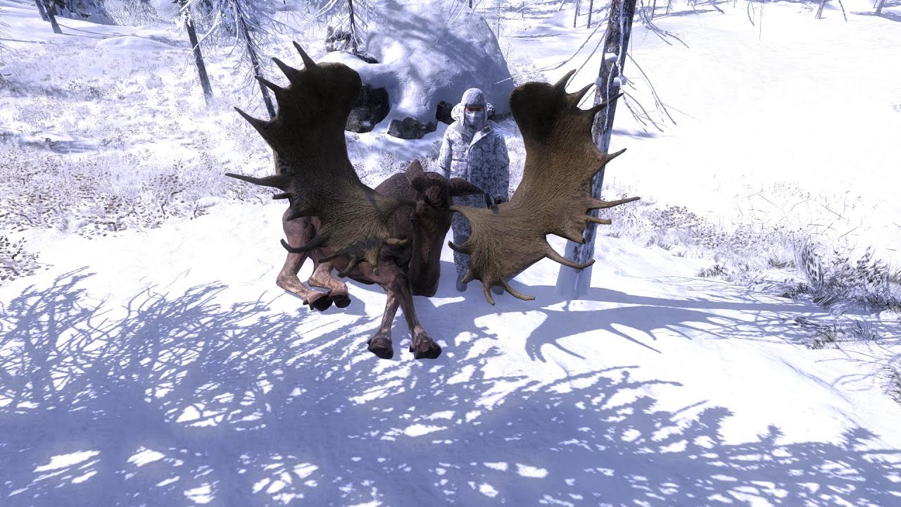 Let's Hunt: Whiterime Ridge!