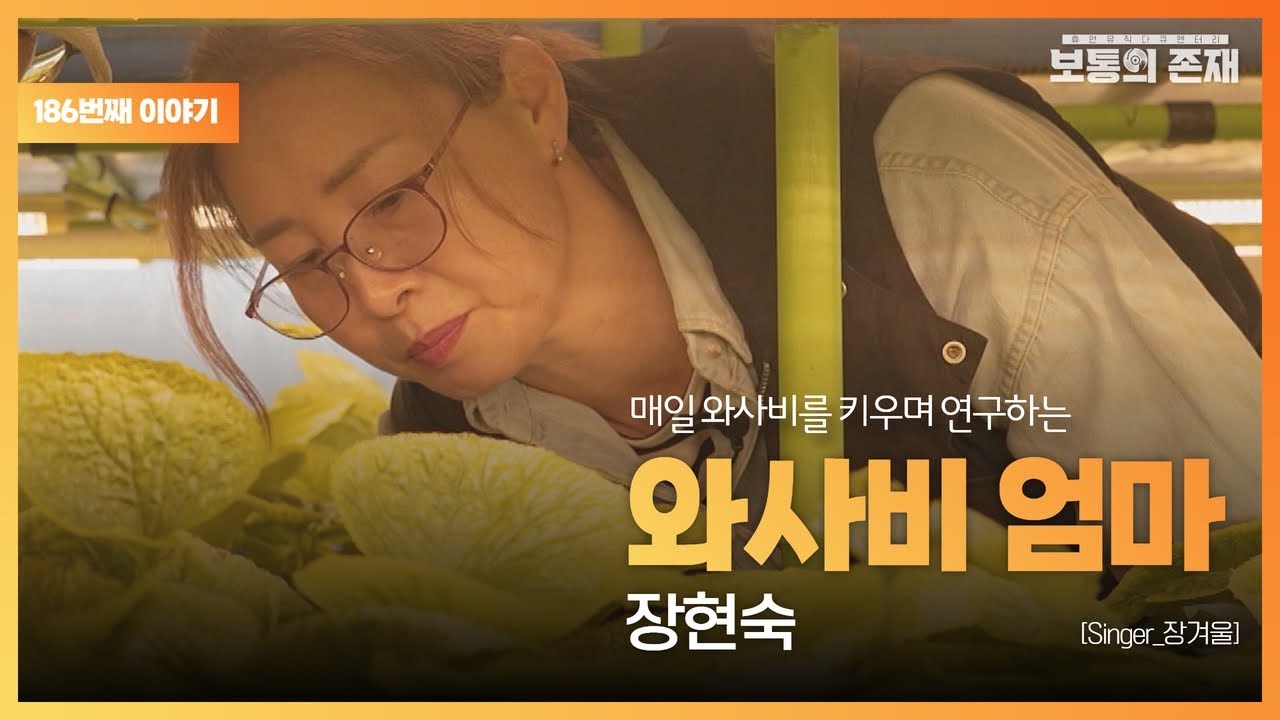 [보통의존재] 자식들을 대하듯 매일 와사비를 키우며 연구하는 사람, 와사비 식물공장 대표 장현숙 [Singer_장겨울]