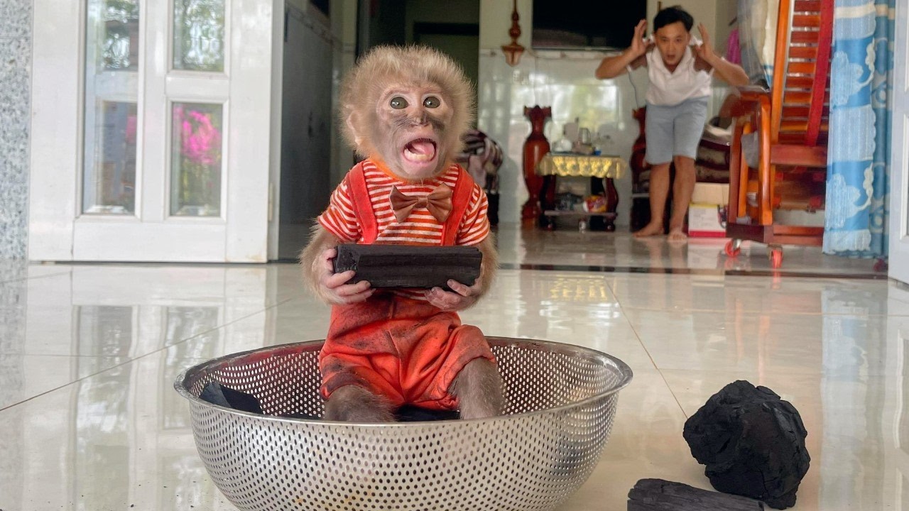 Lulu Takes Part in Every Tet Tradition — Her Naughty Yet Adorable Actions