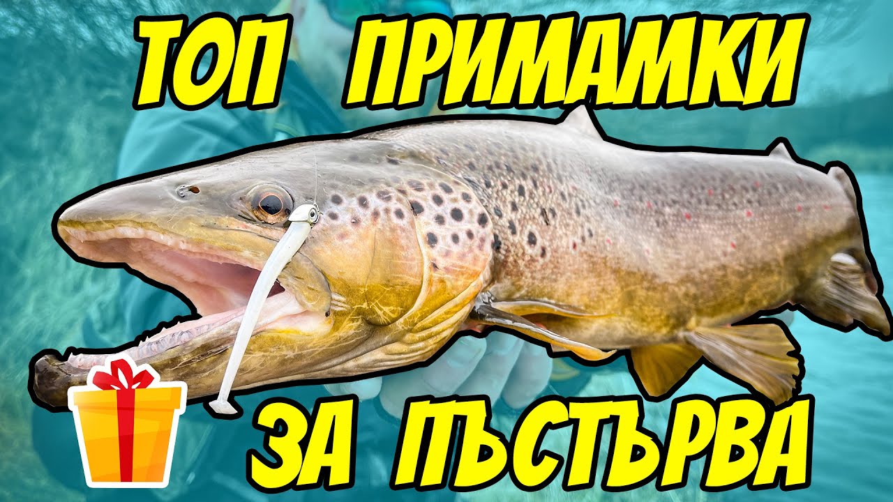 НОВО! ТОП ПРИМАМКИ ЗА РИБОЛОВ НА ПЪСTЪРВА