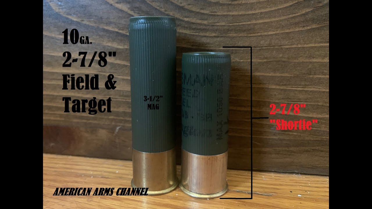 10 Gauge Target and Dove Loads: Creating Light 2-7/8