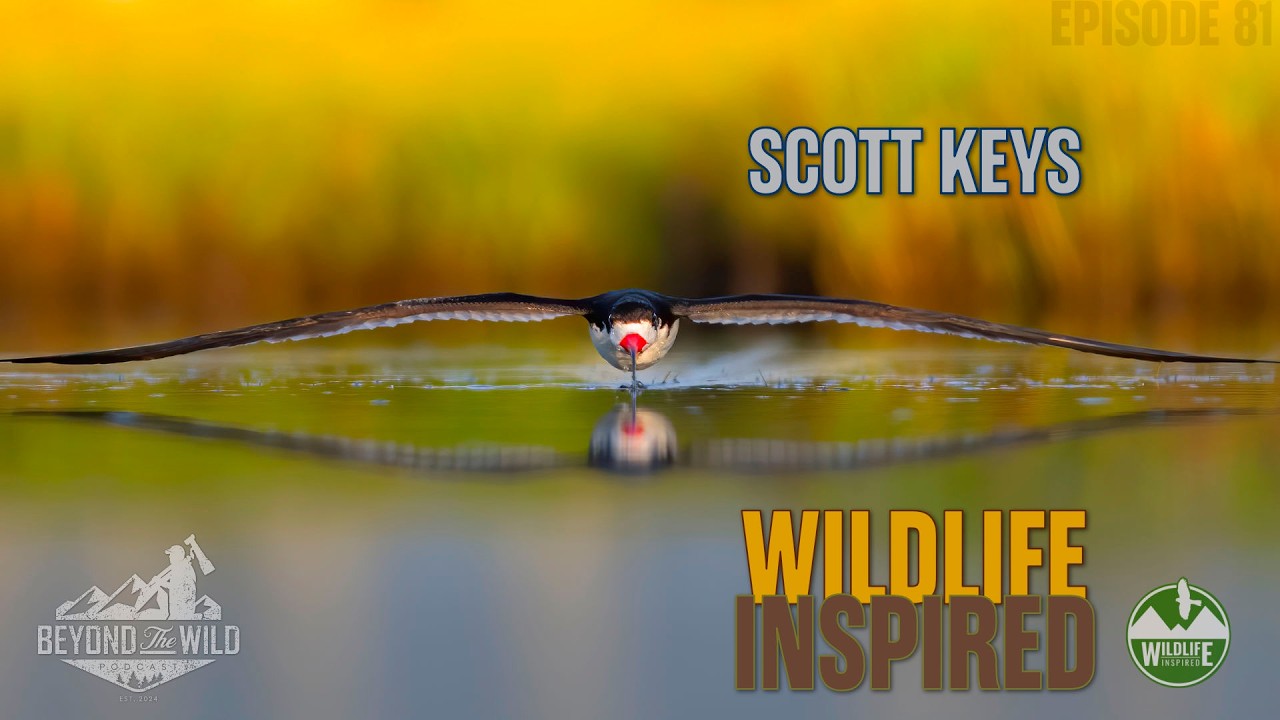 Episode 81: SCOTT KEYS - WILDLIFE INSPIRED