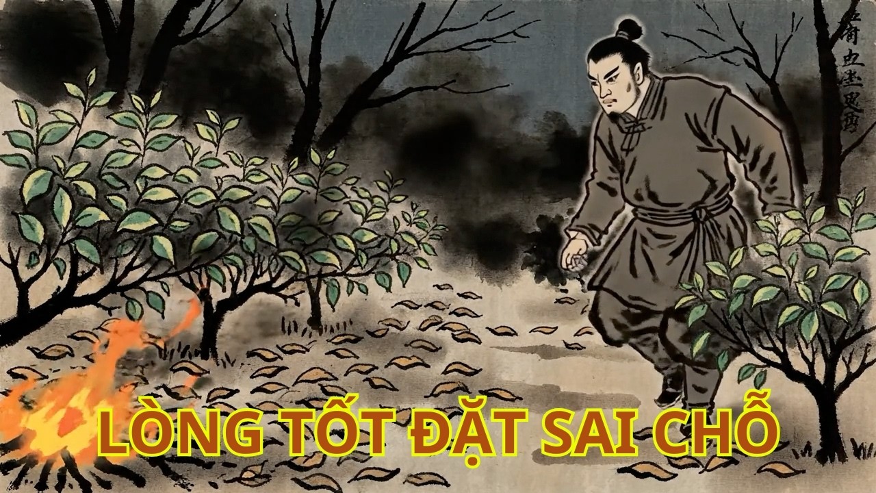 Khi Lòng Tốt Được Đặt Sai Chỗ? Câu Chuyện Nhân Quả ở Núi Trà Thanh Vân…