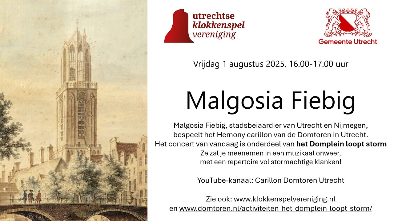 Carillon Domtoren Utrecht - Het Domplein loopt storm - Malgosia Fiebig
