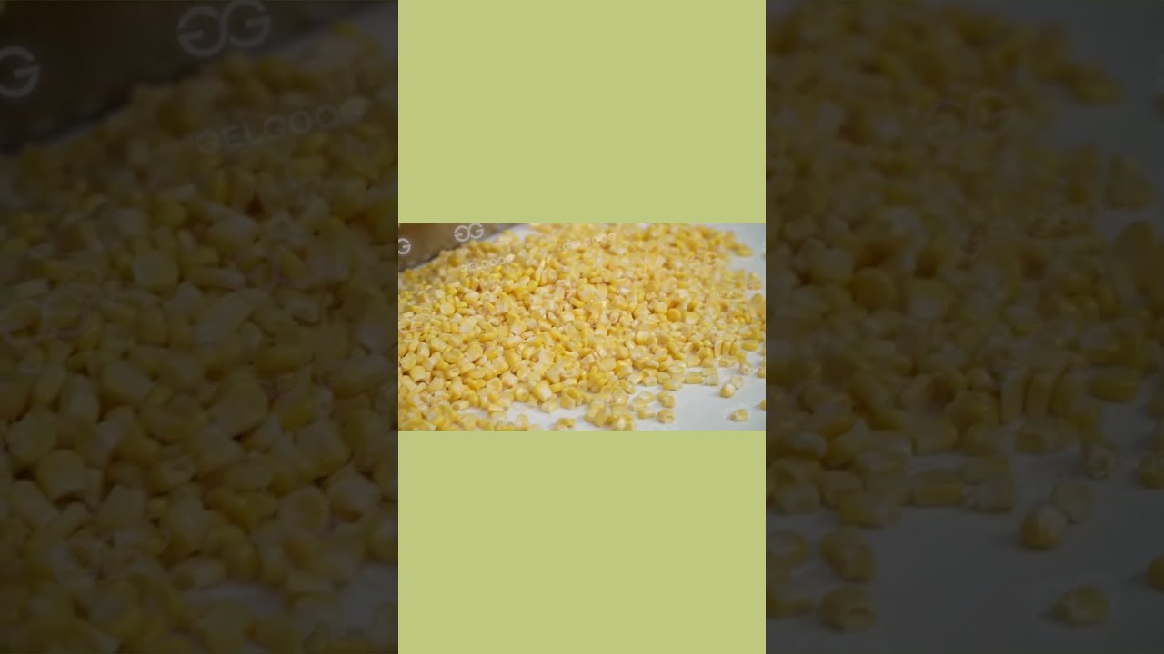Frozen Mixed Vegetable Diced Production Line