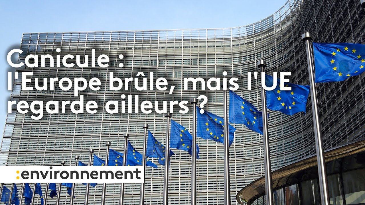Le focus international de Fran&ccedil;ois Beaudonnet