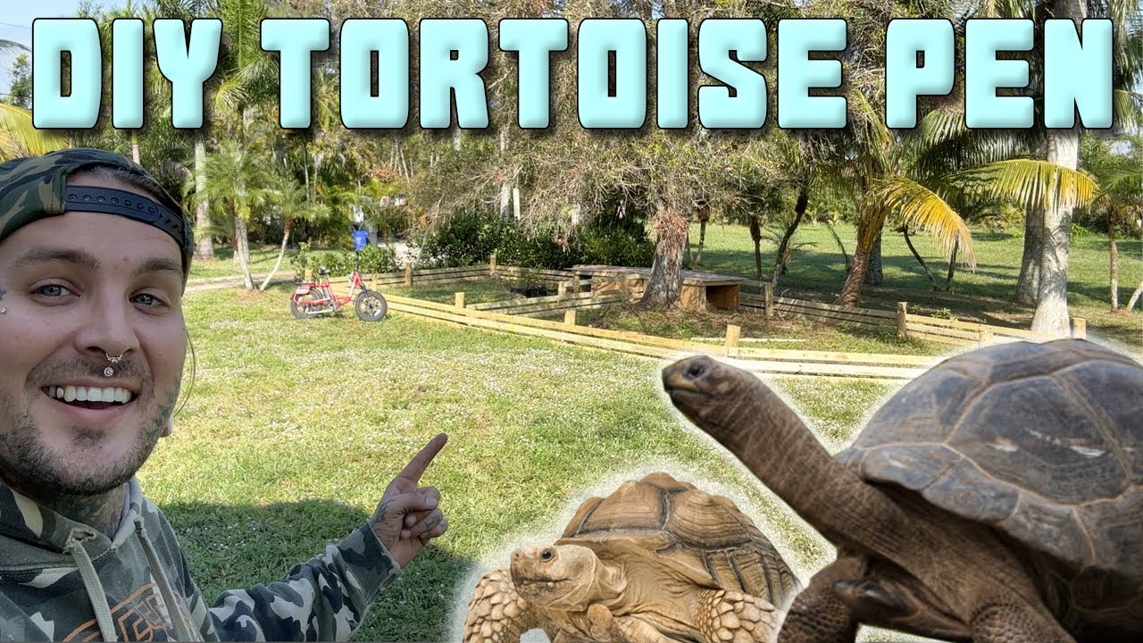 Строим ОГРОМНЫЙ загон для черепах на НОВОМ участке! Для Альдабр и Сулькатас 🐢