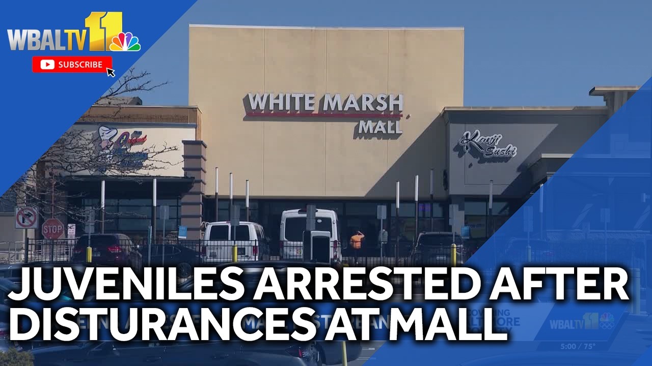 Juveniles arrested after disturbances at mall