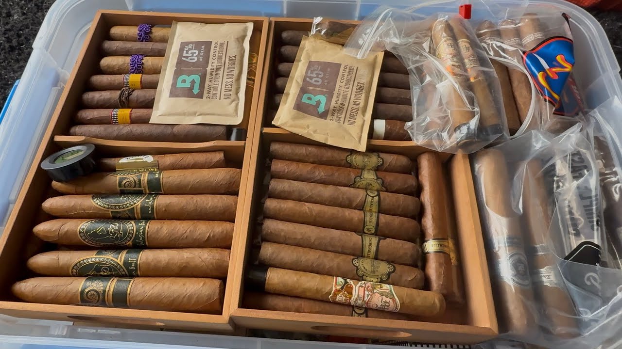 2025 Humidor Tour Part 4 (1600+ Cigars) | Cigar Collection