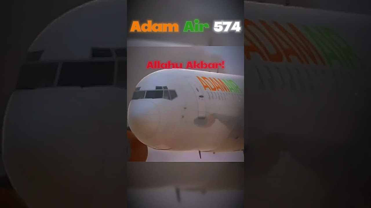 Pilots Last Words Before Crashing PT 8 #shorts #aviation #sad