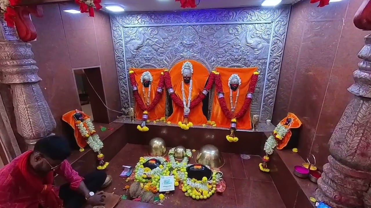 उदगिरीच्या घनदाट जंगलातील  