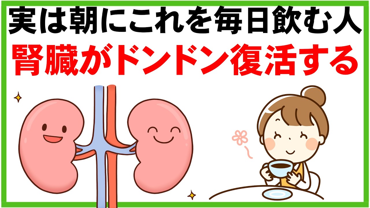 【腎臓を元気にする食品】減塩より効果のある朝に1杯で腎臓を元気にするおすすめの飲み物