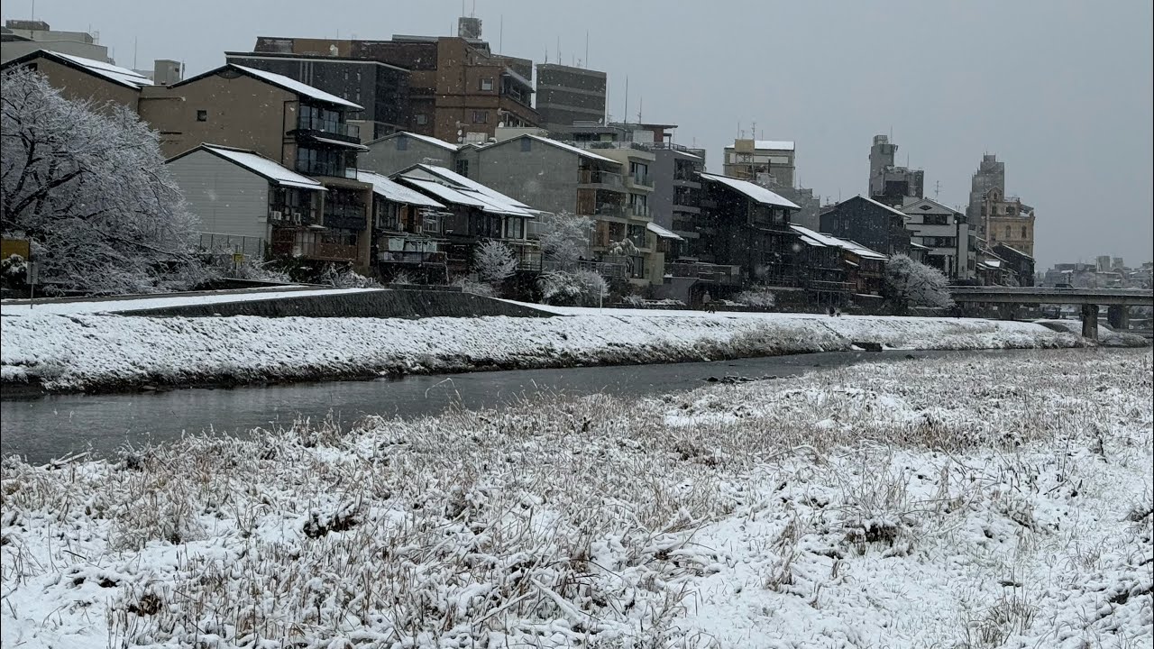 2026/02/08京都雪化妝