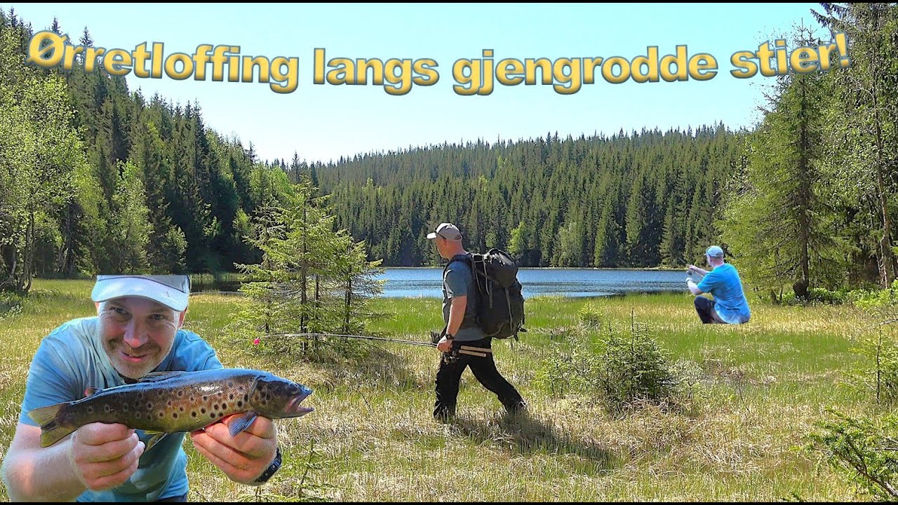 Ørretloffing langs gjengrodde stier!