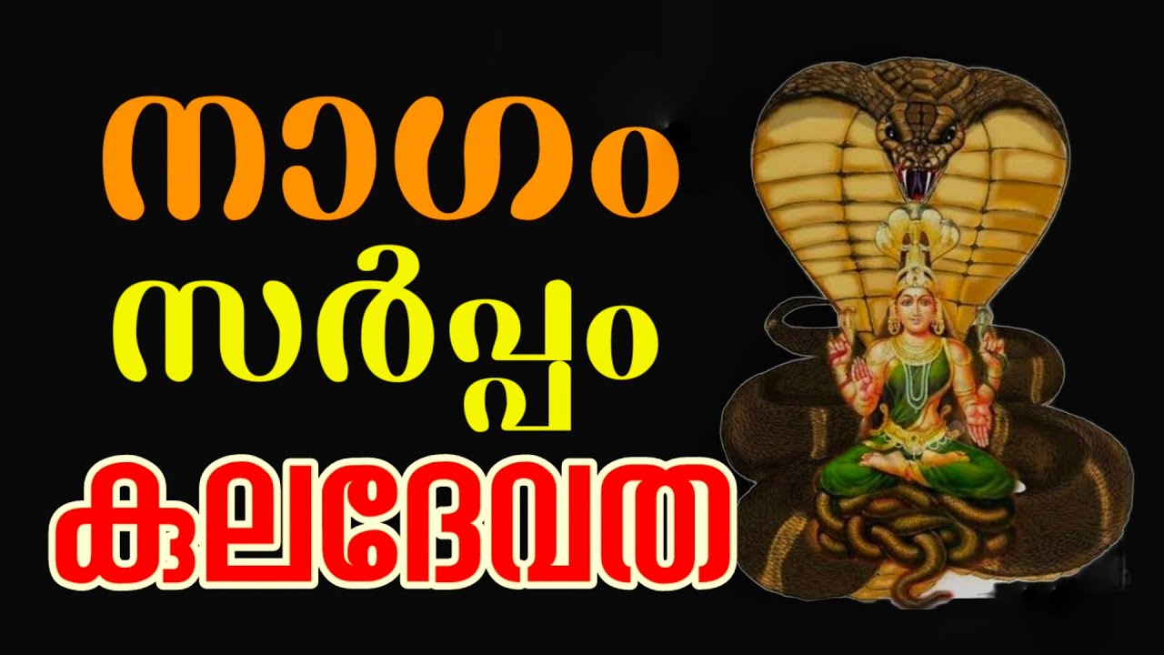 ദേവതകൾ എന്താണ് ചെയ്യുന്നത്? l അവരുടെ കൃപ ലഭിക്കാൻ എന്താണ് ചെയ്യേണ്ടത്? l Jayaraj Mithra l