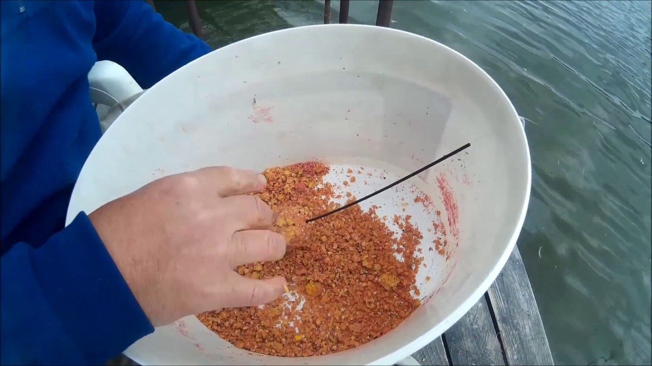 Pecázz Viktorral - Horgászat a Kákafoki holtágon