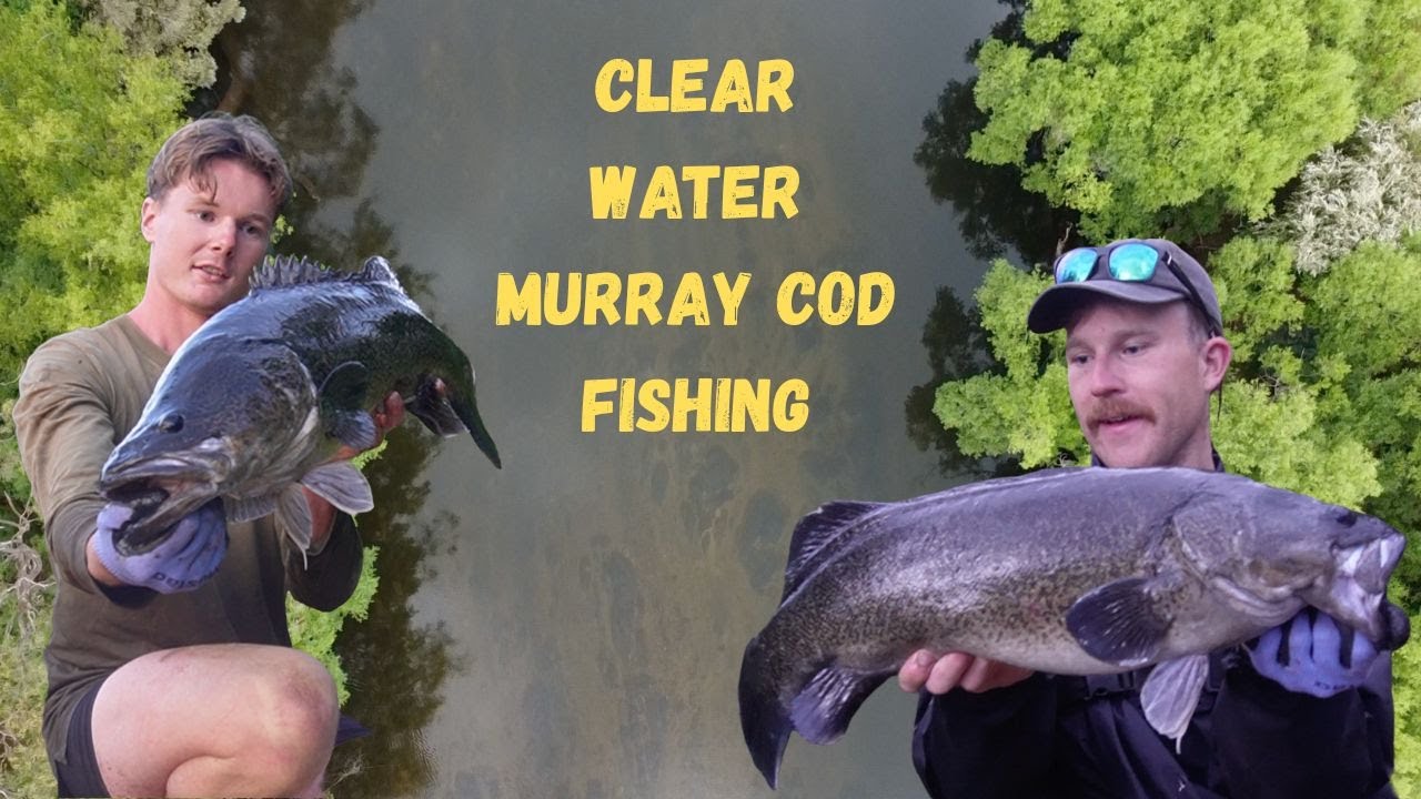 3-дневное приключение в чистой воде - рыбалка на муррейского окуня / FISHIN STRAYA