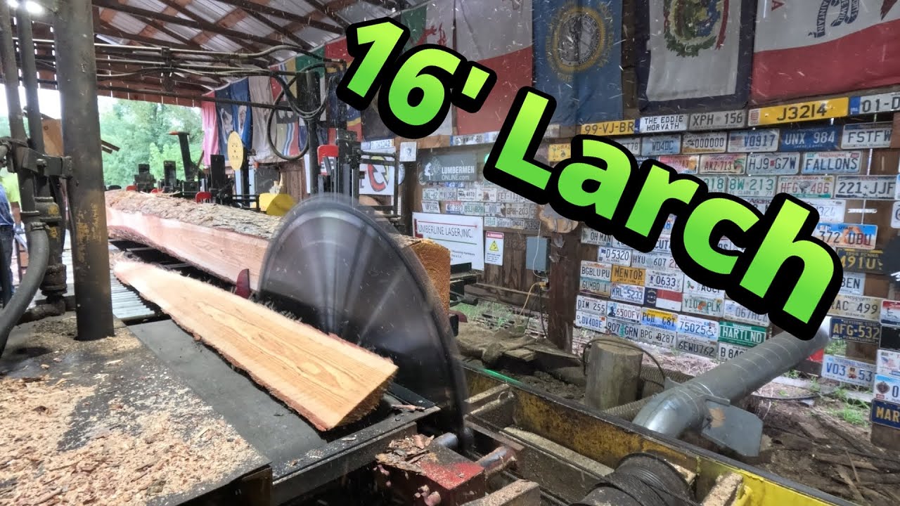 Sawing 16' Larch logs # 761