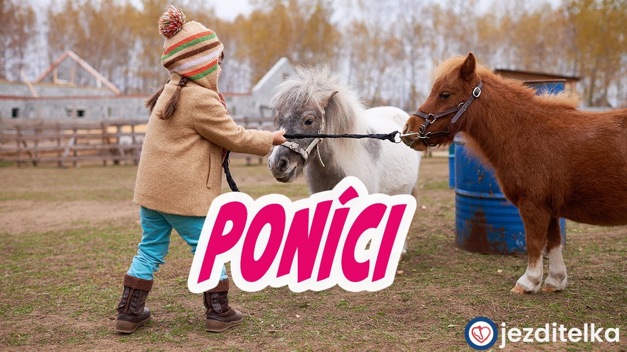 PON&Iacute;CI