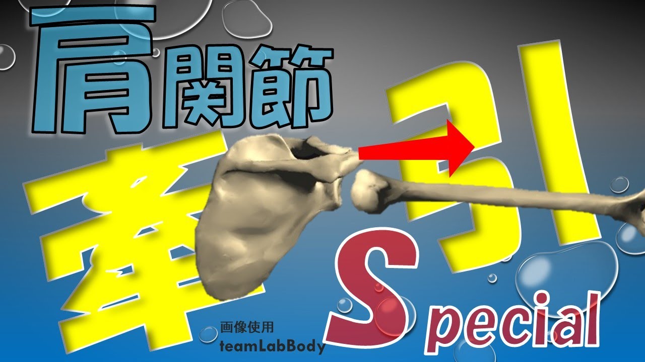 vol.378 肩関節 関節包牽引ストレッチ‼