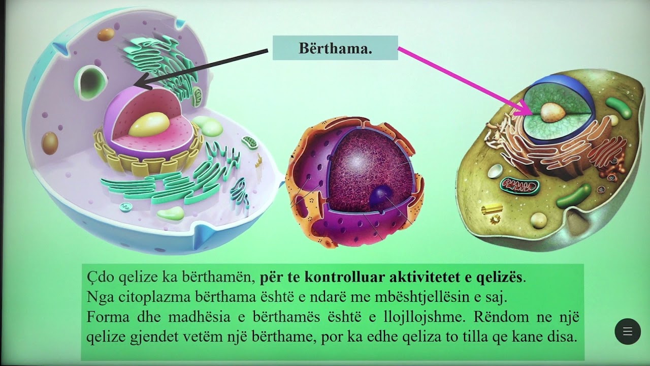 6 06 001 - Java e parë - Biologji - Biologjia (shkencë natyrore)