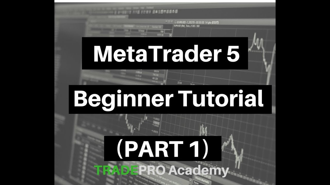 MetaTrader 5 Beginner Tutorial (Part 1)