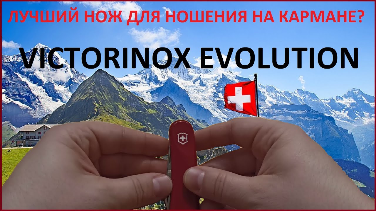 Лучший нож для ношения на кармане? Victorinox Evolution