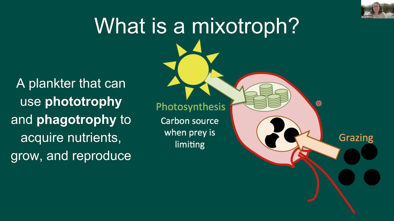 OCB2021 Overview of OCB Mixotrophy & Mixotrophy working group