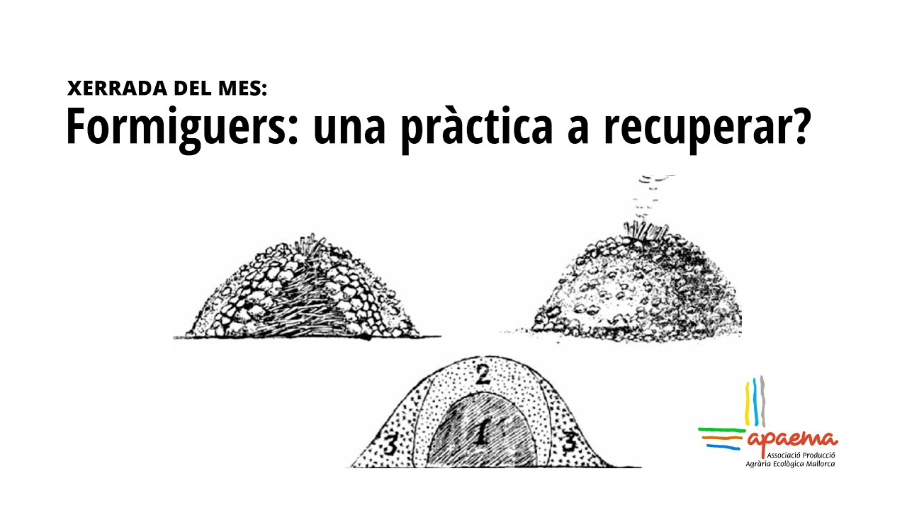 Xerrada del mes:  Formiguers: una pràctica a recuperar?