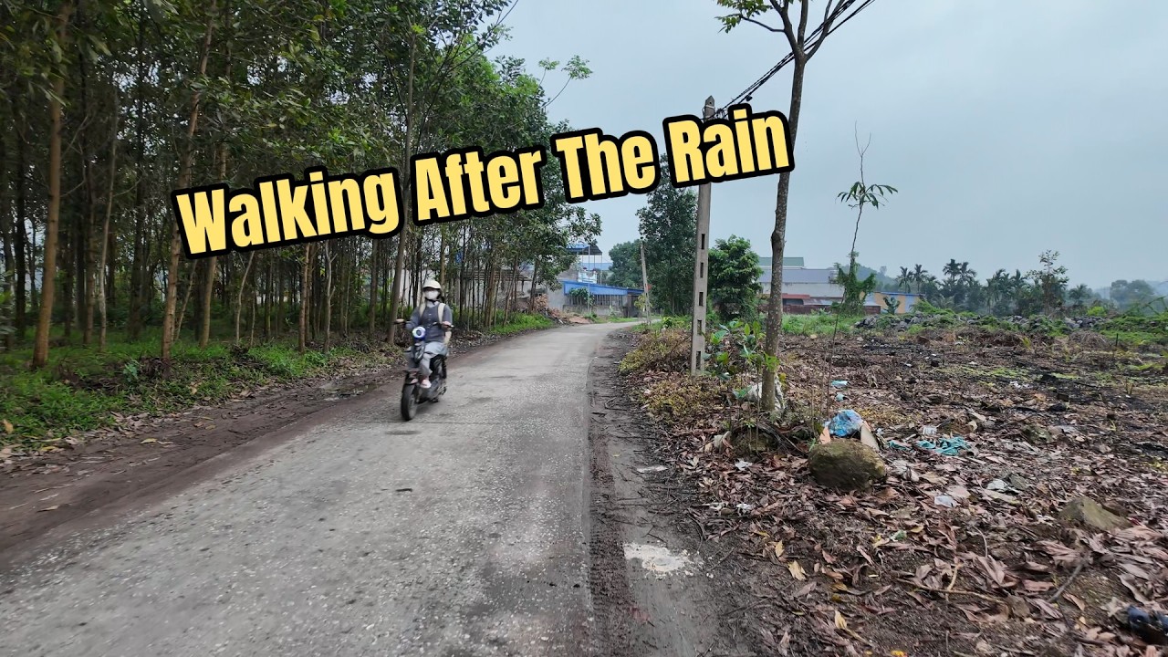 Walking After The Rain