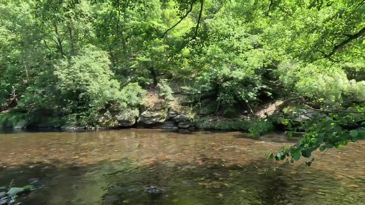 Wanderparadies Nationalpark Thayatal