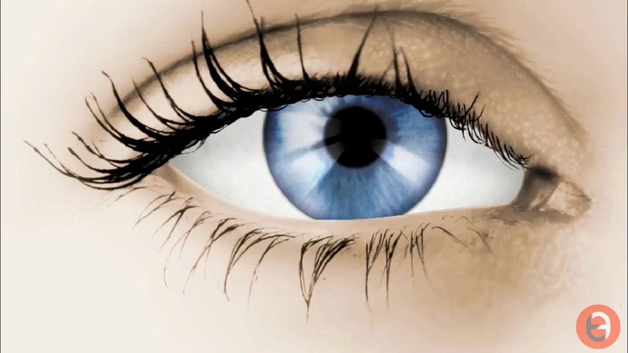 Tutoriel Photoshop - réaliser un oeil