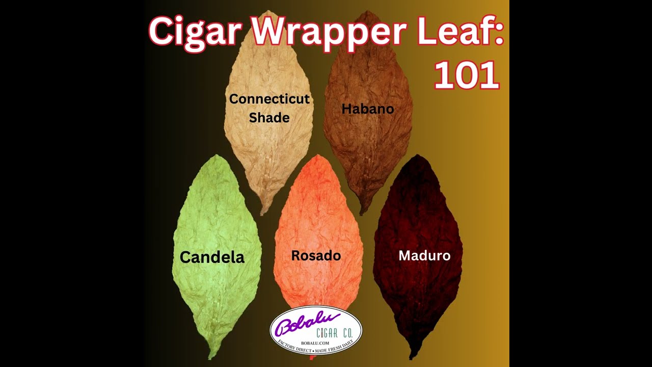 Cigar wrappers leaves explained 2024
