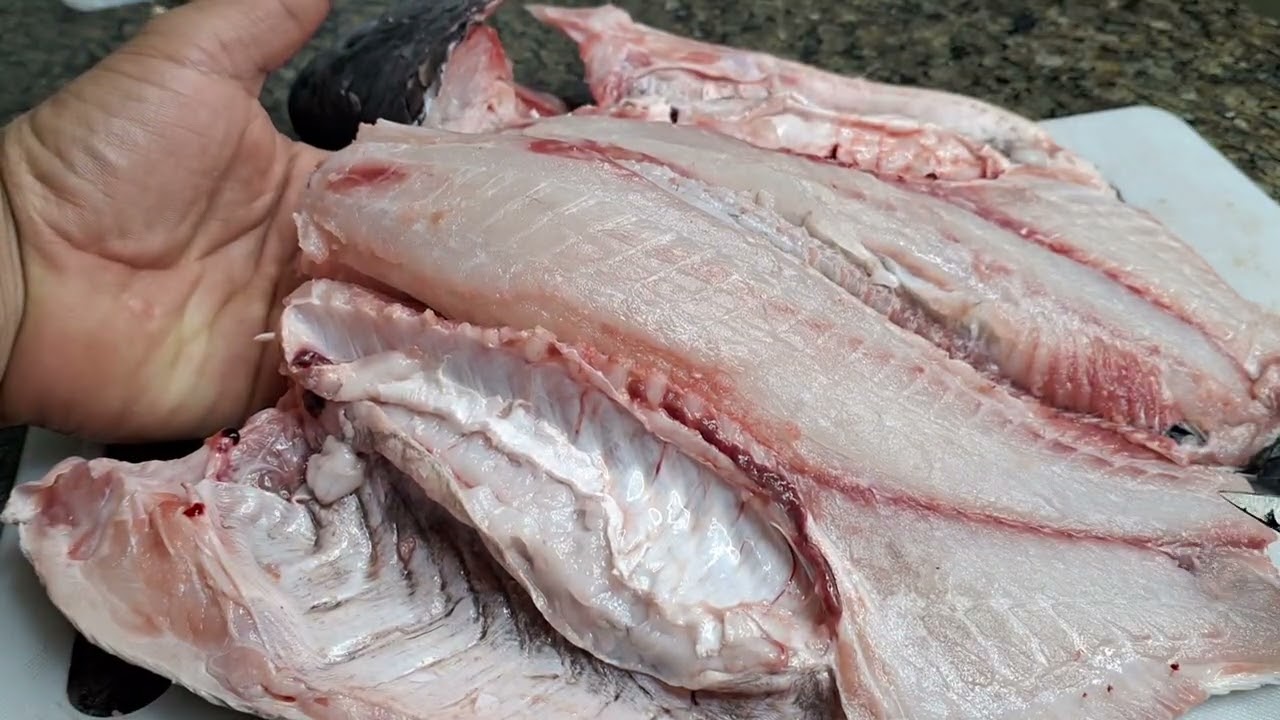 TILÁPIA SEM ESPINHAS - (Melhor Vídeo) VEJA COMO TIRAR TODAS AS ESPINHAS DA TILÁPIA 