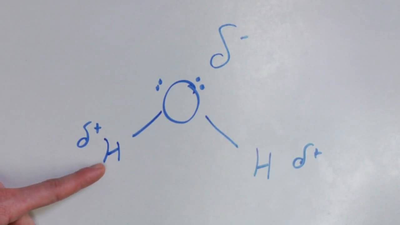 Chemistry & Nature Facts : What Is Polar?