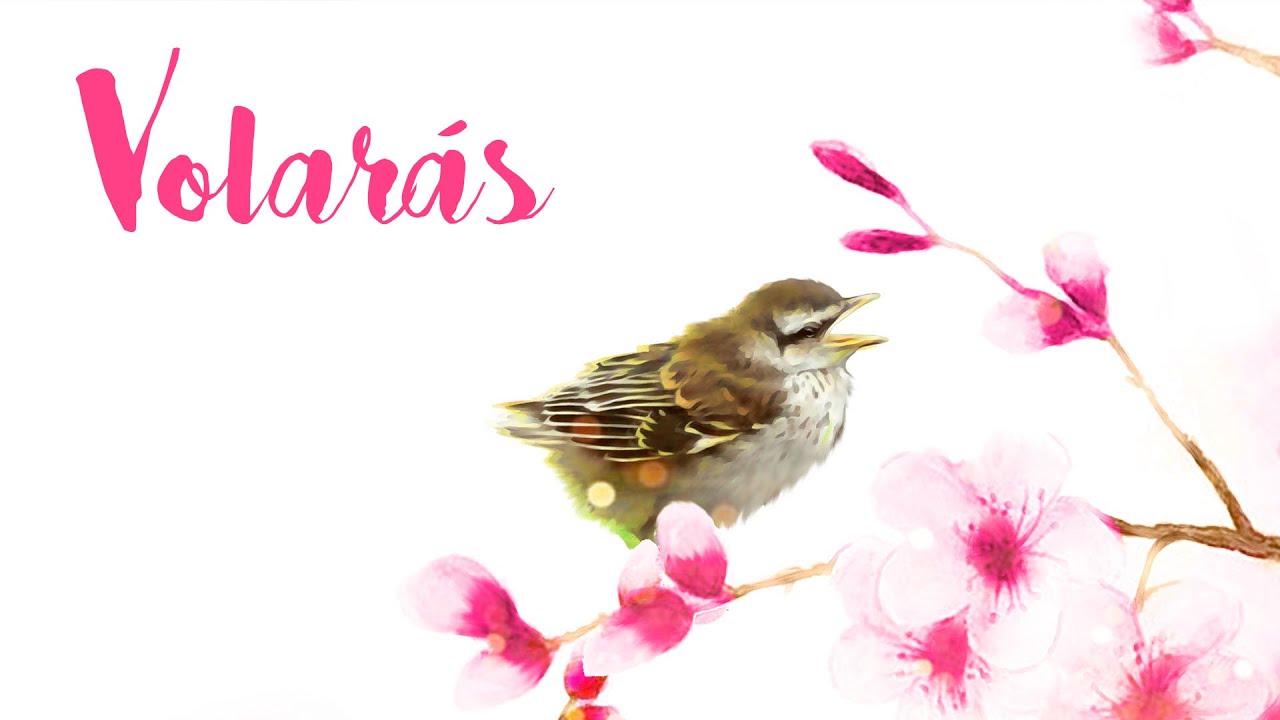 Volarás - Canción para decir Adiós (Butterfly/Mariah Carey) - Hitomi Flor