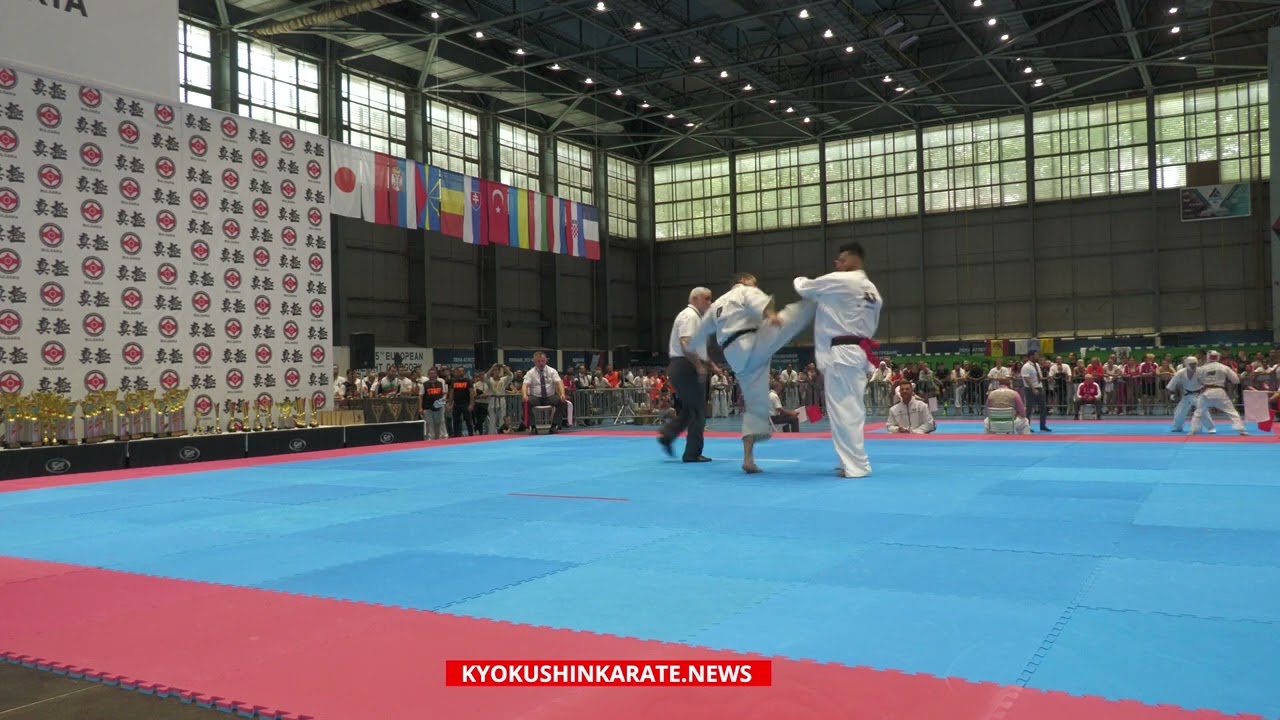 35th IKO EC, 1/4 +90kg, Ali Rashnoo (Germany, aka) - Antonio Tusseau (France)